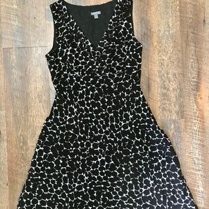 Ann Taylor Dress